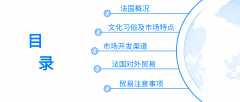 欧盟第二大经济体：法国，市场详细攻略